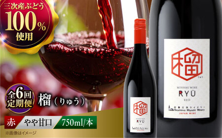 【全6回定期便】 赤ワイン 榴 りゅう RYU 750ml×1本 [APAZ139]赤ワイン