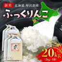 【ふるさと納税】【令和5年産新米】北海道厚沢部産ふっくりんこ20kg※2023年11月新米からお届け ふるさと納税 米 お米 ふっくりんこ 精米 白米 北海道 厚沢部 送料無料 ASG029