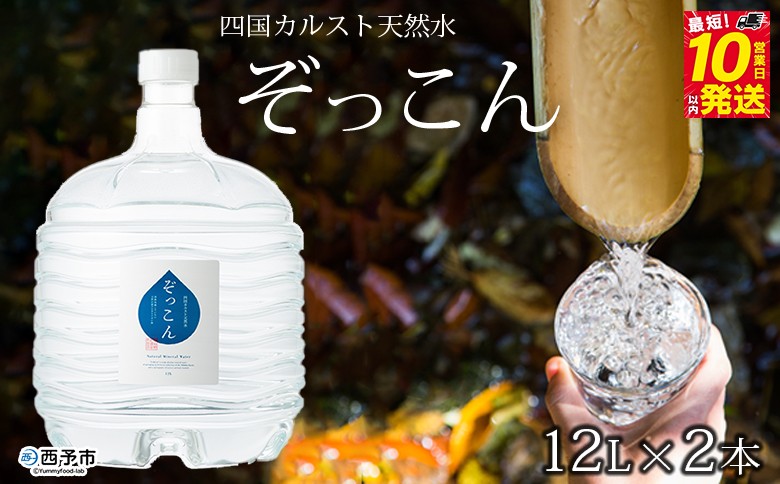
四国カルスト天然水ぞっこん（ガロンボトル12L×2本）
