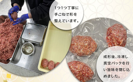 fn-77-002 釜石和山放牧牛 和の風バーグ 20個 エム牧場