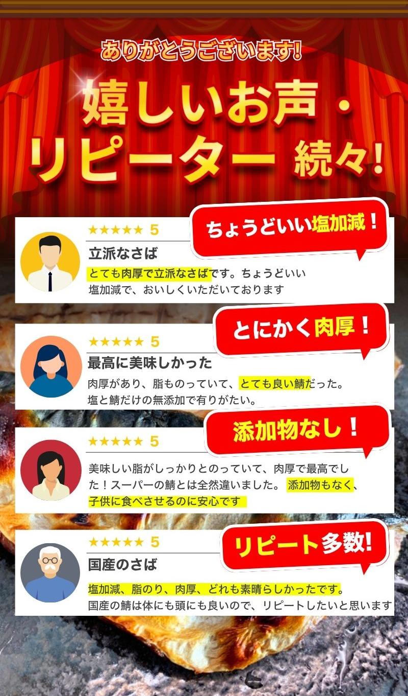 塩さばフィレ14枚入（真空パック入）【uot403-1】