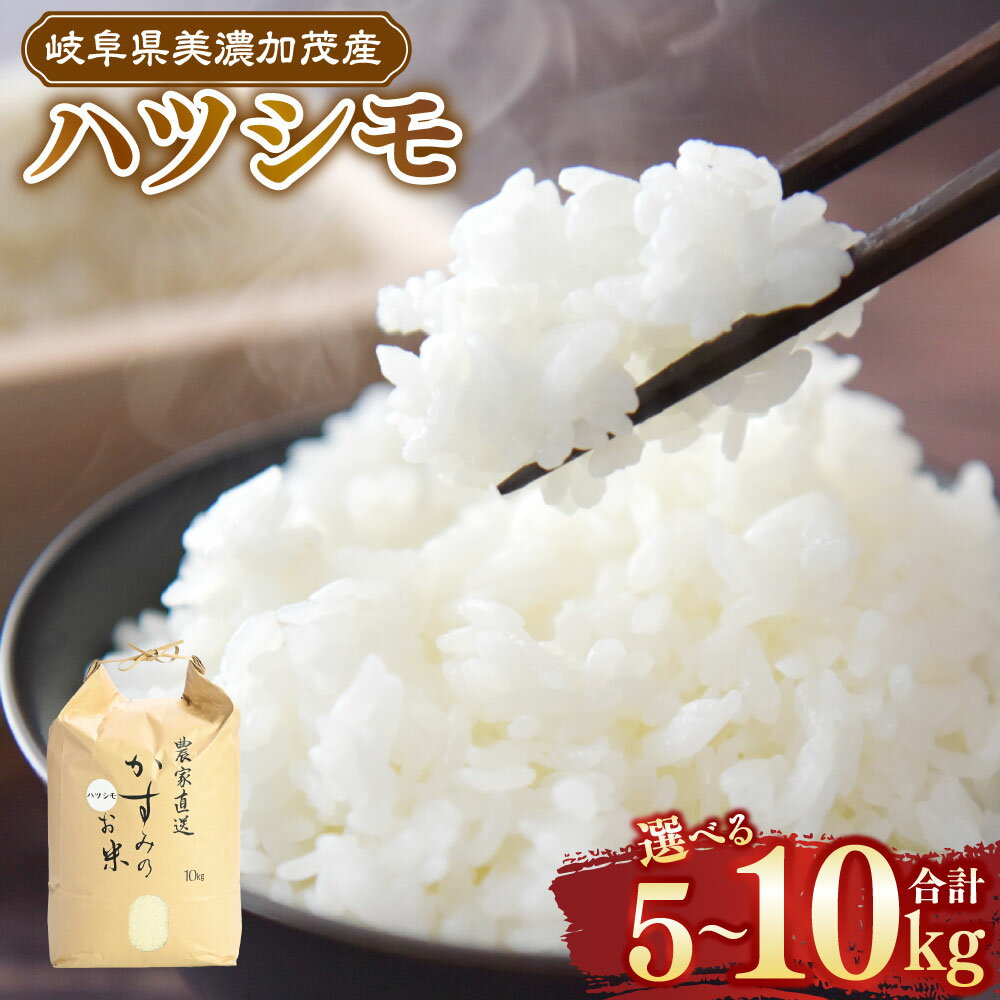 【ふるさと納税】＜選べる内容量＞令和7年産 お米マイスターが提供 冷めても美味しい 岐阜県美濃加茂産 ハツシモ 5kg×1袋 / 10kg×1袋 春見ライス 米 お米 コメ 白米 ライス 国産 国産米 岐阜県 美濃加茂市 常温 送料無料 【2026年7月下旬まで発送予定】