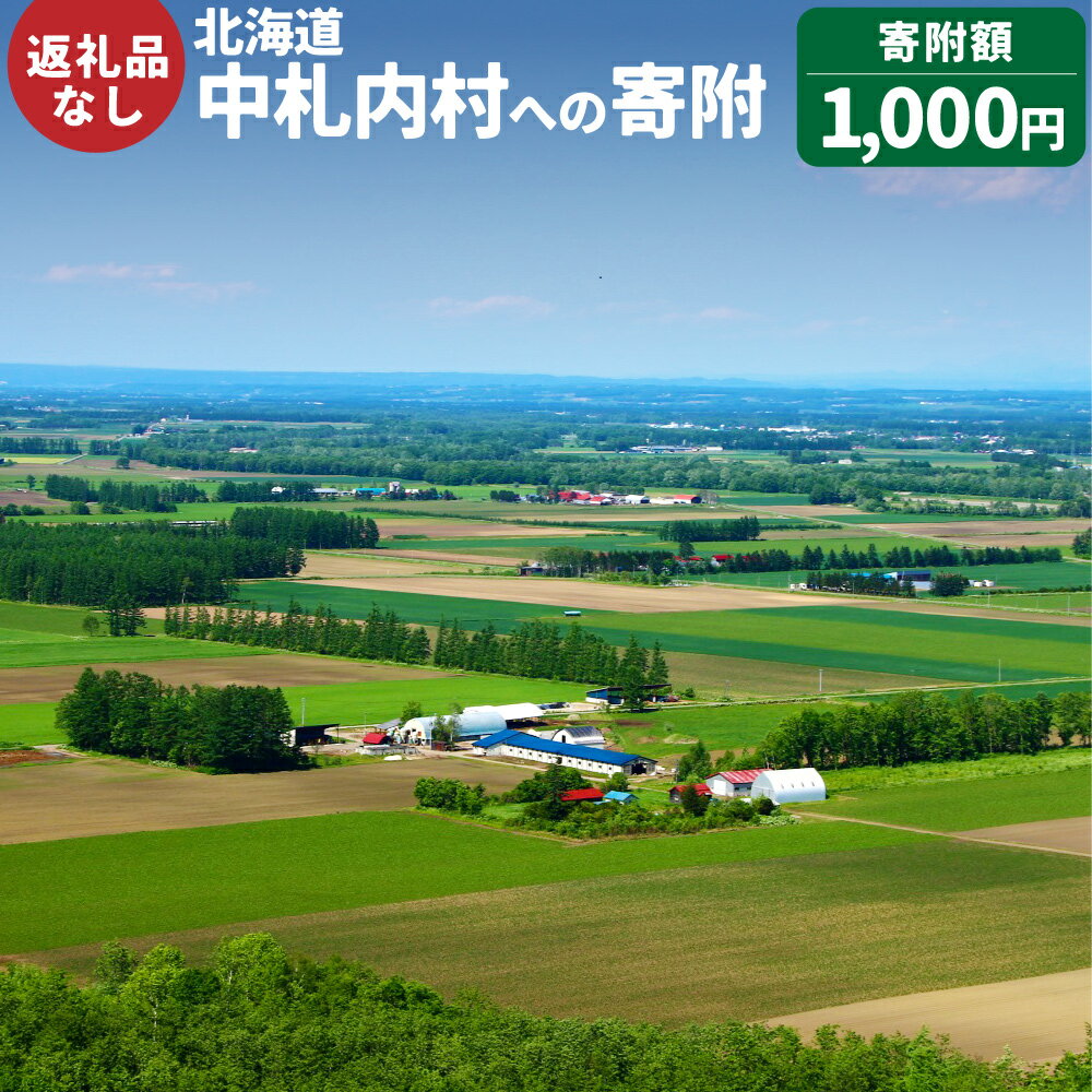 【ふるさと納税】中札内村への寄附（返礼品はありません） 1口 1,000円 北海道 中札内村 寄附のみ 寄附 支援 応援 応援寄附金 返礼品なし [038-0016]