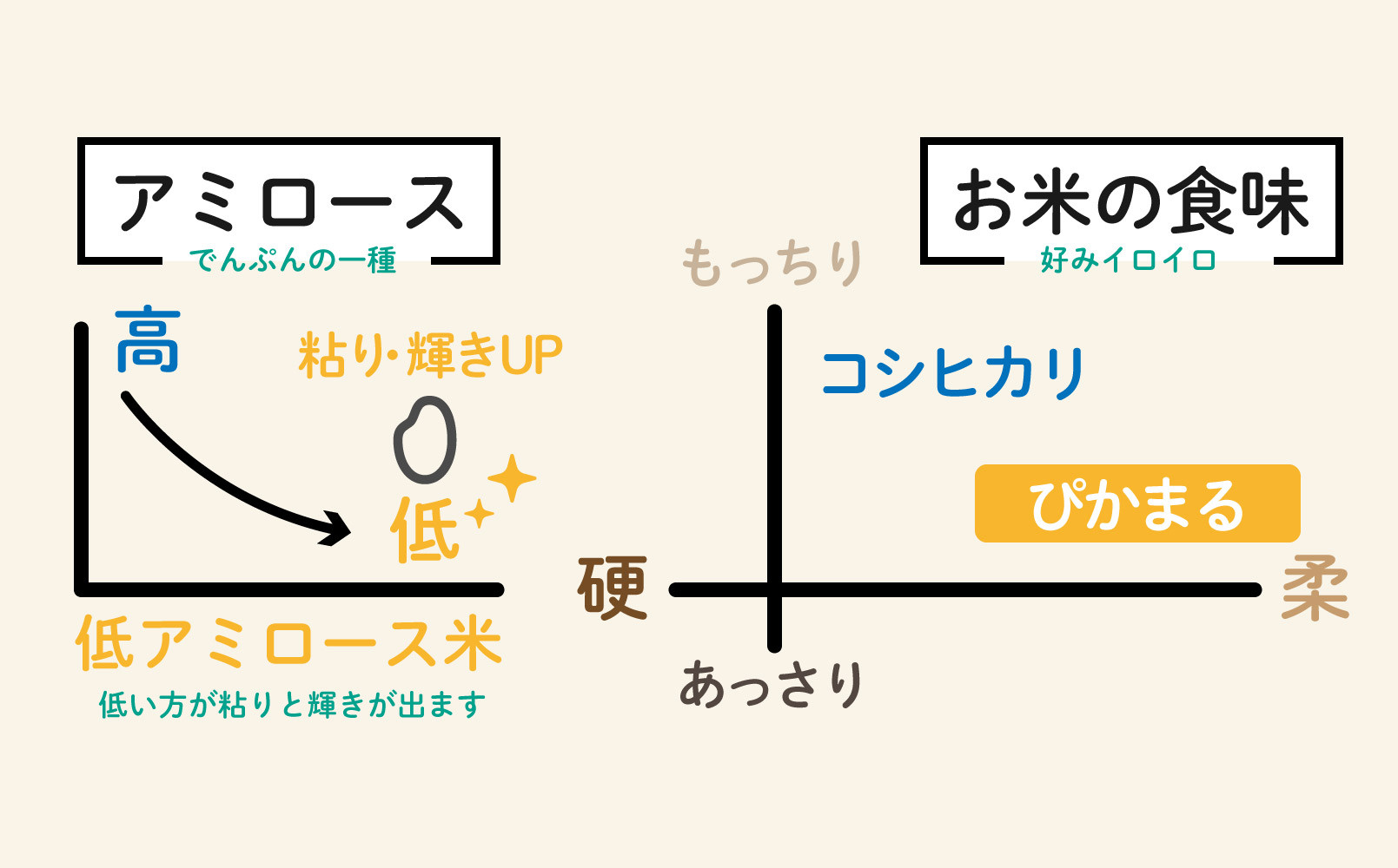【令和8年産新米予約】精米10kg 南魚沼産ぴかまる　金賞受賞（米・食味分析鑑定コンクール）（5kg×２袋）【令和8年11月上旬から1ヶ月以内に順次発送予定】・農家直送_AG