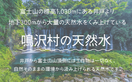 鳴沢村の天然水500mL×48本(鳴沢村産天然水) NSC003 |  水 ミネラルウォーター ペットボトル水 天然水 アウトドア水 キャンプ水 備蓄水 防災水 常温 ランキング 山梨県 鳴沢村 |