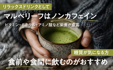 マルベリーフパウダー KN098-008 桑の葉パウダー 加工食品