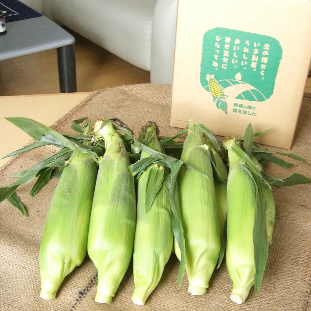 【令和9年産 先行予約】とうもろこし 雪の妖精 ほしつぶコーン 各10本 計20本 とうもろこし 北海道 スイートコーン