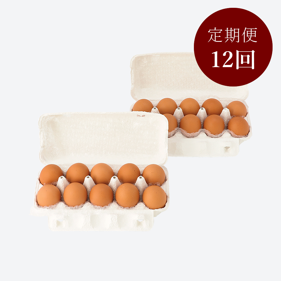 ＜卵卵ふわぁ～む＞「地養卵」20個【12カ月定期便】