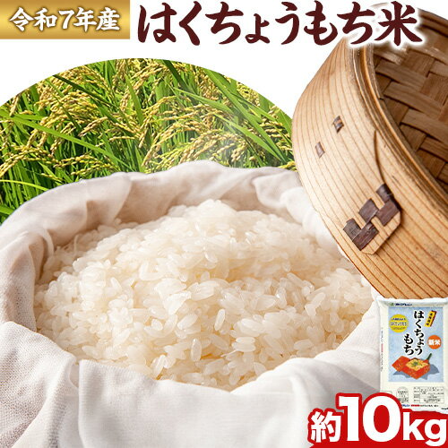 【ふるさと納税】令和7年産 はくちょうもち米 10kg お米 こめ もち米 観光まちづくり協会《10月下旬頃出荷予定》北海道 名寄市 白米 精米 餅 ご飯 ごはん 国産