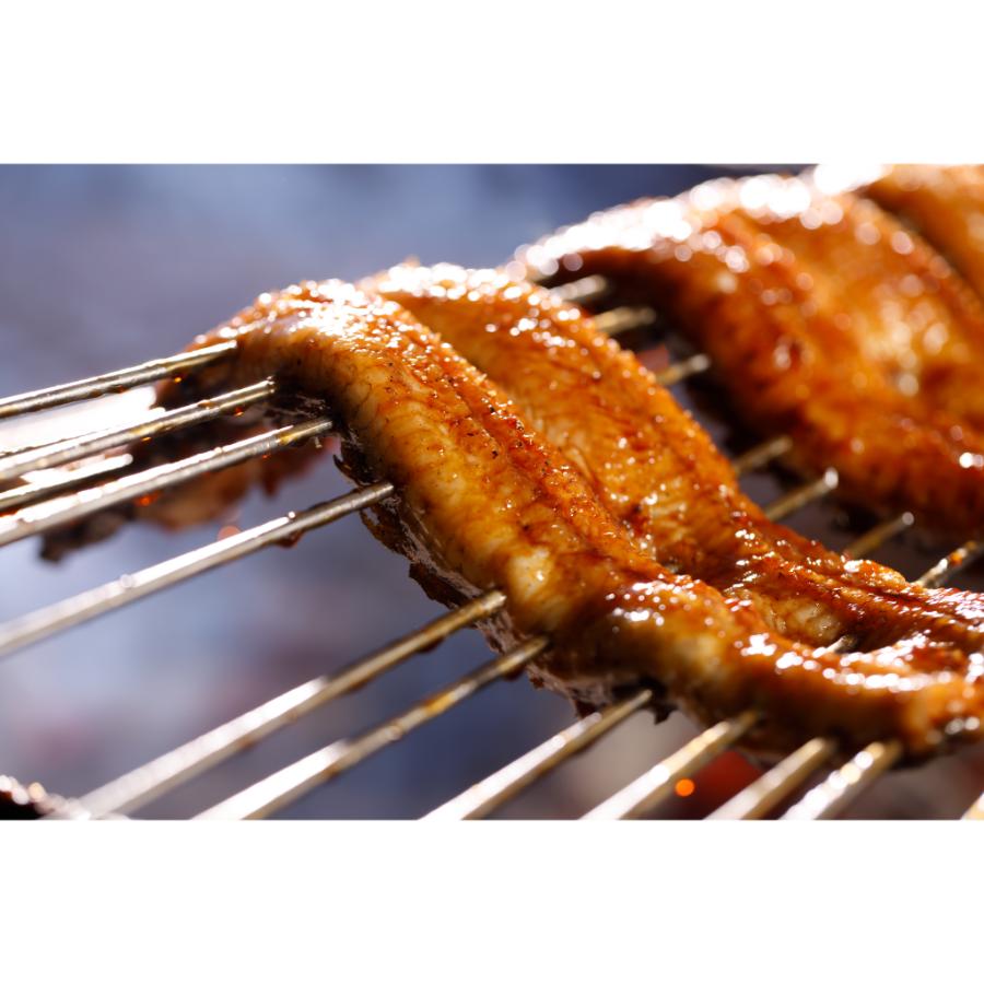 ＜まんてんやうな一＞【天然】有明海産うなぎ蒲焼き2尾（Lサイズ）【6ヶ月定期便】