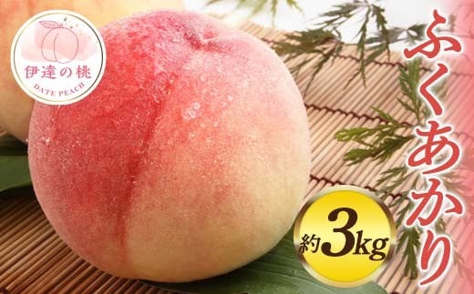 【2026年出荷分先行予約】福島県産 ふくあかり 約3kg (7～11玉) 佐藤俊博 福島県オリジナル品種 伊達の桃 桃 フルーツ 果物 もも モモ momo F20C-553