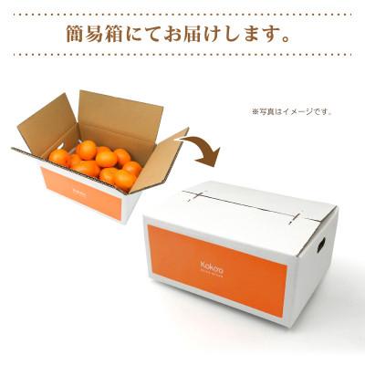 ふるさと納税 松山市 【2027年3月中旬頃から発送予定】きよみ(優品)約2.5kgと瀬戸内海の島レモン3玉入り |  | 01