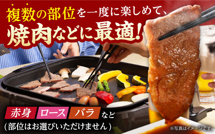 【訳あり】【いろいろな部位が楽しめる！】佐賀牛 焼肉セット 1kg【山下牛舎】 [HAD148]