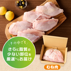 ＼＼3ヶ月定期便／／山梨県産＜健味鶏＞むね肉（計2kg×3ヶ月）