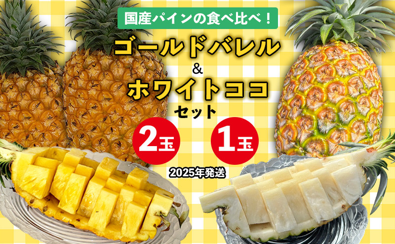 
            国産パインの食べ比べ！ゴールドバレル（2玉）&ホワイトココ（1玉）セット【2025年発送】 パイン パインアップル パイナップル ゴールドバレル ホワイトココ 数量限定 食べ比べ お試し ジューシー 希少 生産量日本一 国産 国産パイン おいしい 南国 トロピカル 予約 先行予約 沖縄 東村
          