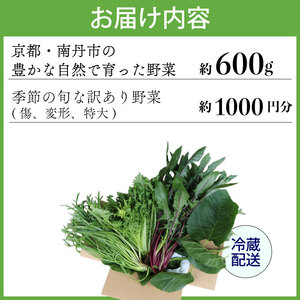 【爬虫類用】 訳あり野菜と季節の葉っぱ詰め合わせ セット 約 600g 60サイズ ( 訳あり 訳あり野菜 草食 雑食 爬虫類 ペットフード ペット リクガメ カメ イグアナ 動物 ごはん ご飯 おや
