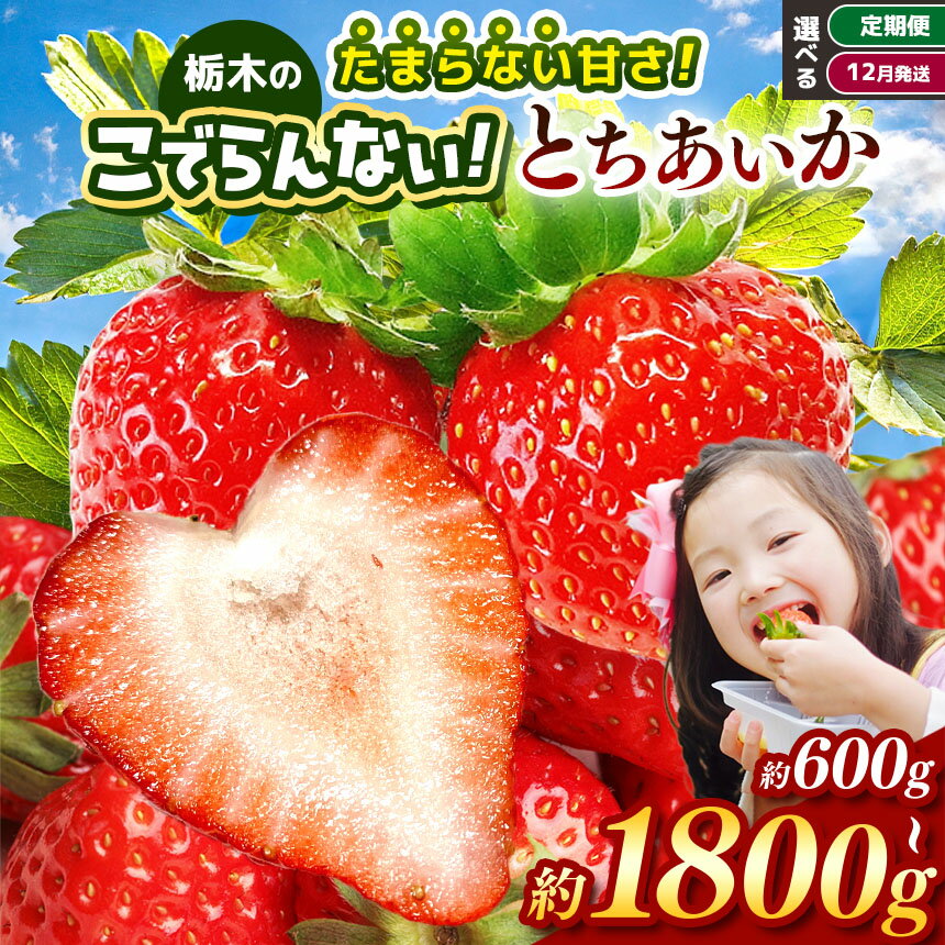 【ふるさと納税】栃木のこでらんないイチゴ（とちあいか） ｜ イチゴ いちご 苺 厳選 朝摘み 高糖度 大きい ハート 愛 美味しい 果汁 ジューシー 甘い あまい 甘味 たっぷり 大容量 | 人気 レビュー リピート 栃木県 真岡市 日本一 送料無料