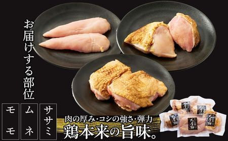 085-16 「さつま極鶏大摩桜」刺身用ブロックセット1.2kg