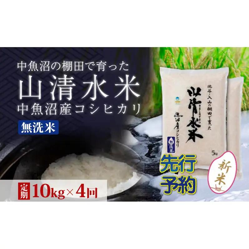 【令和8年産 先行予約】【定期便／全4回】無洗米10kg 新潟県魚沼産コシヒカリ「山清水米」
