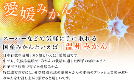 ＜愛媛みかん 家庭用（不揃い）箱込約5kg＞ 果物 フルーツ 温州みかん うんしゅうみかん ウンシュウミカン みかん ミカン 蜜柑 オレンジ 柑橘 自宅用 訳あり 産地直送 三好農園 西宇和 愛媛県 