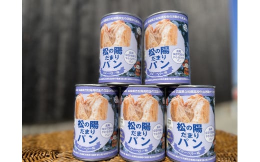 松の陽だまりパン　15缶入り　防災パン　非常食　長期保存　災害備蓄　非常用　緊急用　ブルーベリー　美味しい　ふわふわ　缶詰パン　災害食　しっとり　食物繊維豊富