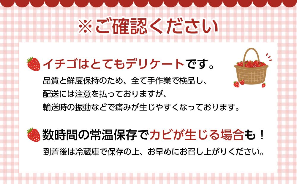 福岡産あまおう2パック＆練乳１個【筑前町】※一部離島不可