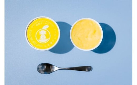 定期便９回 小田原産江之浦ジェラート６種（みかん、湘南ゴールド、ブルーベリーミルク、いちごミルク、キウイヨーグルト、甘夏ヨーグルト）120mlカップ各２個合計１２個【 神奈川県 小田原市 】