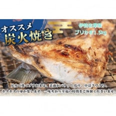 伊勢志摩産 ブリカマ 1.5kg BBQや煮つけにオススメ 城水産 新鮮な鰤を真空パック 産地直送