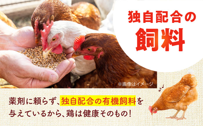 安田養鶏場の卵 アトムくん 50個入り 横須賀市 産地直送 たまご 黄身 濃厚 卵 玉子 タマゴ 鶏卵  【安田養鶏場】 [AKHN004]