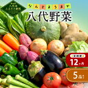 【ふるさと納税】【定期便12回】なんさまうまか 八代野菜セット 5品以上 野菜 やさい 詰め合わせ 旬の野菜 新鮮 朝採れ 八代よかとこ物産館 国産 九州産 熊本県産 送料無料