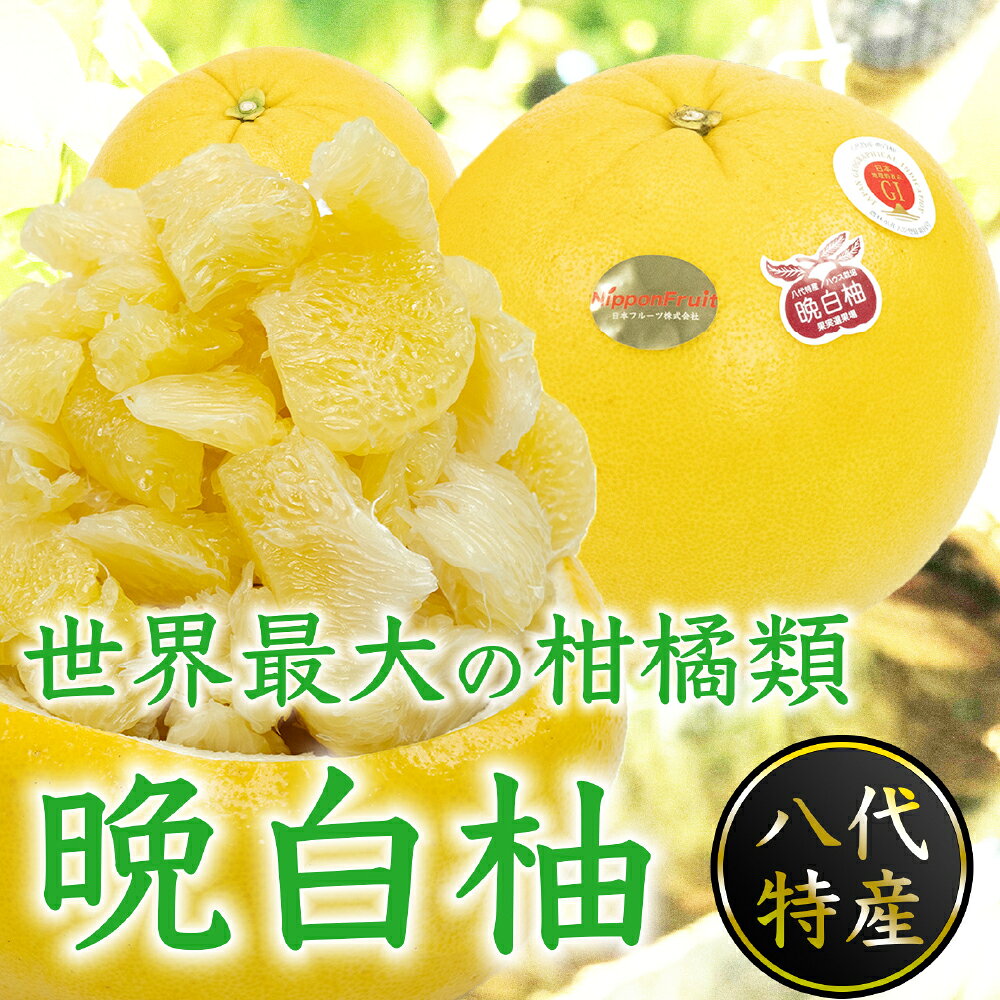 【ふるさと納税】＜選べる内容量＞ 晩白柚 2玉 約4kg（2Lサイズ） / 約3kg（Lサイズ） ばんぺいゆ 柑橘 かんきつ フルーツ くだもの 果物 果実 デザート 熊本県産 国産 九州 熊本県 送料無料 【2026年12月上旬から2027年2月下旬発送予定】
