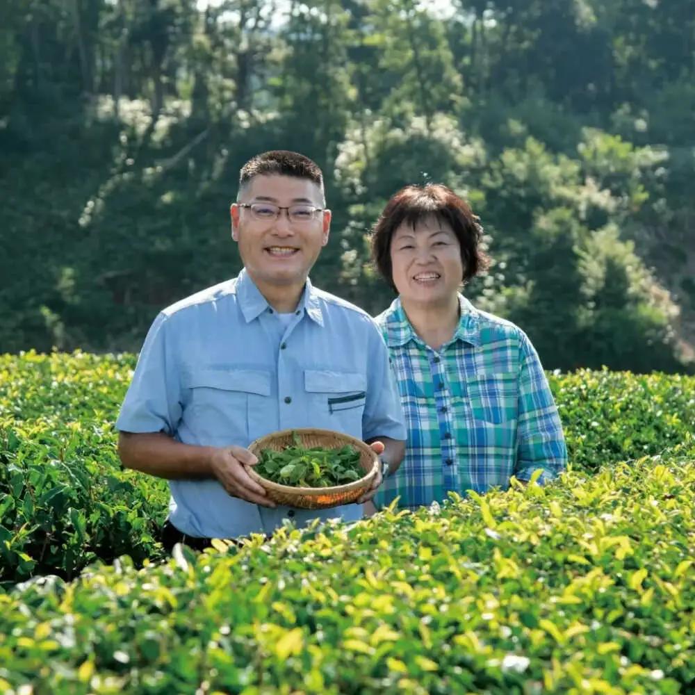 【全2回定期便】奥出雲のスイーツ 美味しいお茶のおやつセット（お茶アイス9個・茶ロールケーキ3本・茶団子5串×2）[AIAY013]