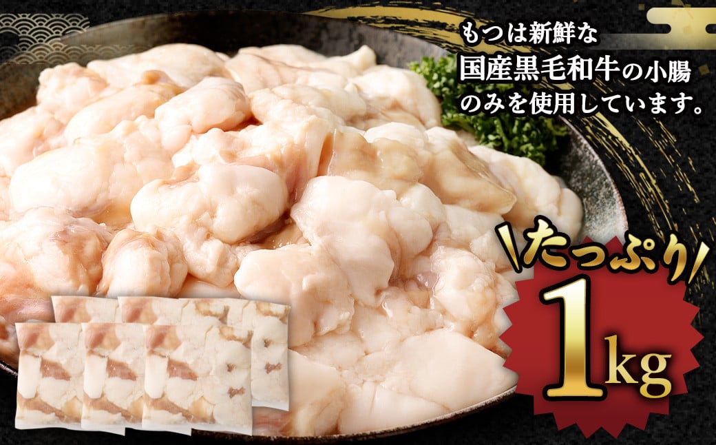 国産 牛もつ鍋 10人前 ちゃんぽん 濃縮スープ付（みそ味）