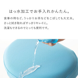 バランスイージー専用プレミアムニットカバーnew（グリーン）はっ水加工【 チェアカバー 椅子カバー チェアカバー 椅子カバー チェアカバー 椅子カバー チェアカバー 椅子カバー 】