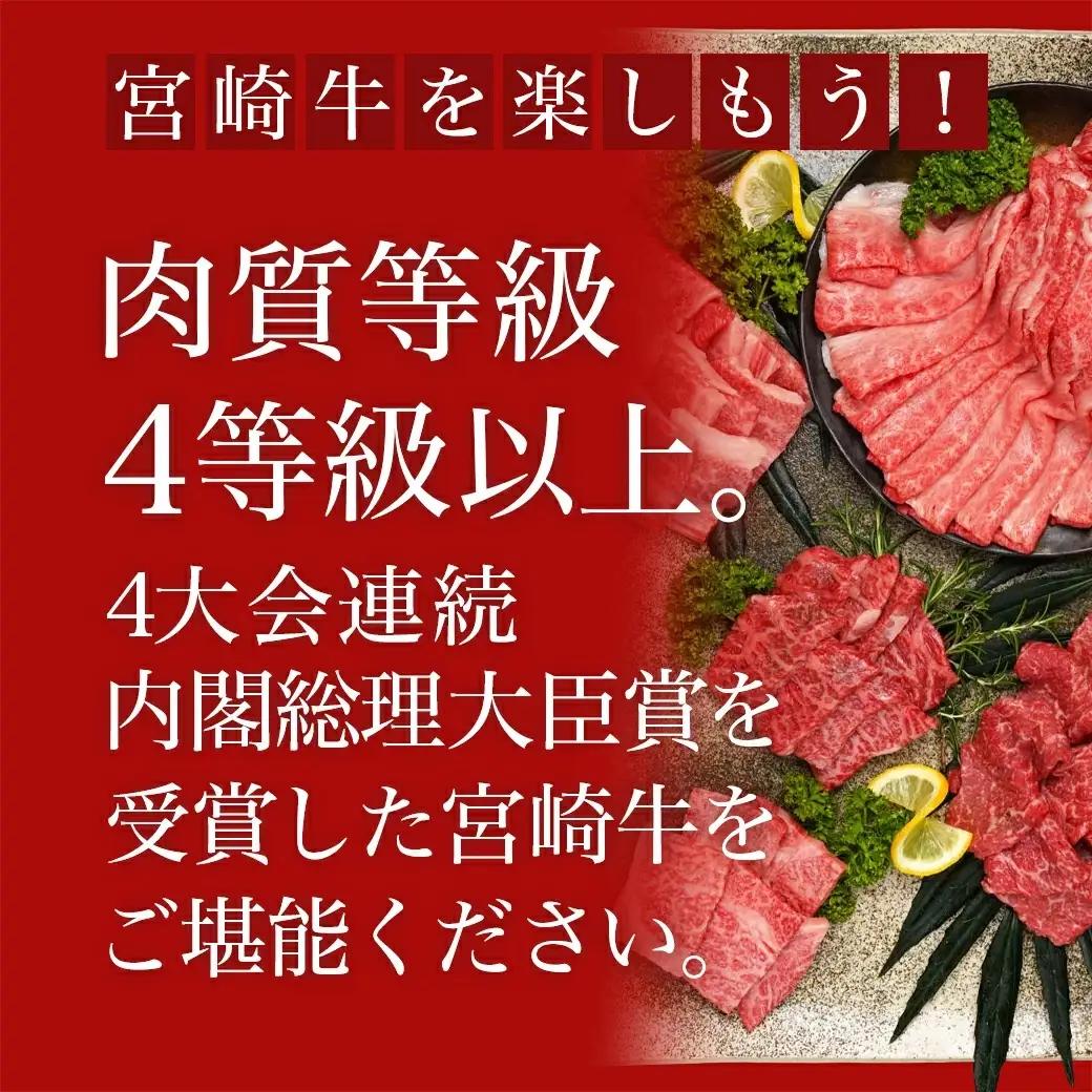 宮崎牛焼肉4種盛り＆宮崎牛肩スライス500g合計980gセット〔AC-8923〕_(都城市) 宮崎牛 焼肉4種盛り ロース 肩ロース モモ バラ 宮崎牛肩スライス 