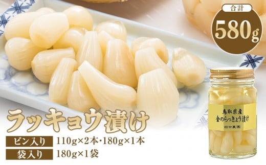 ラッキョウ漬け　（ビン入り：110g×2本・180g×1本　袋入り：180g×1袋）【らっきょう らっきょ ご飯 カレー セット商品 鳥取県産 北栄町 おすすめ 人気 新鮮 パリ パリッ】