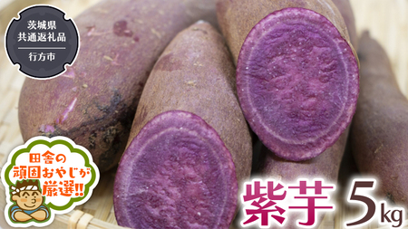 【2026年12月より発送開始】紫芋 5kg （茨城県共通返礼品 [さつまいも]：行方市産） 
