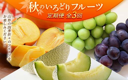 
                  【先行予約 令和8年度発送】【定期便3回】 秋のいろどりフルーツ  ぶどう ブドウ 葡萄 デザート フルーツ 果物 くだもの 果実 食品 山形県 FSY-2505
                