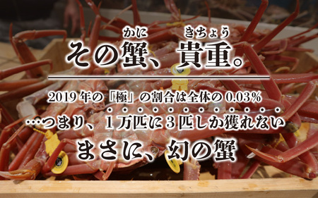 【先行予約】≪茹で≫特上 越前ズワイ蟹 『極』 1杯 ※活状態で1.5kg以上 【2025年3月発送分 各月数量限定】【越前ガニ 越前がに 越前ズワイガニ ズワイガニ ずわい ボイルガニ 幻のかに 冬