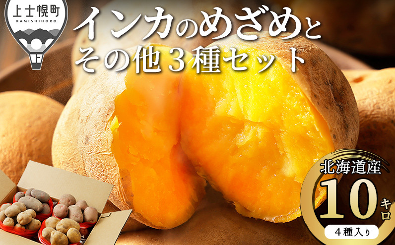 
            北海道産インカのめざめとその他3種のじゃがいもセット 計10kg 人気上昇中！ 上士幌町加藤農場 インカの目覚め 馬鈴薯 芋 イモ 野菜 詰め合わせ ◆2025年11月配送予定 ［012-V60］ ※オンライン申請対応
          