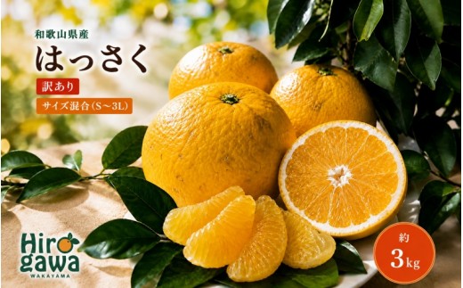 
                  和歌山広川町産 はっさく 約3kg サイズ混合 【訳あり ご家庭用 キズあり】【SL39】【sml022-c-3】
                