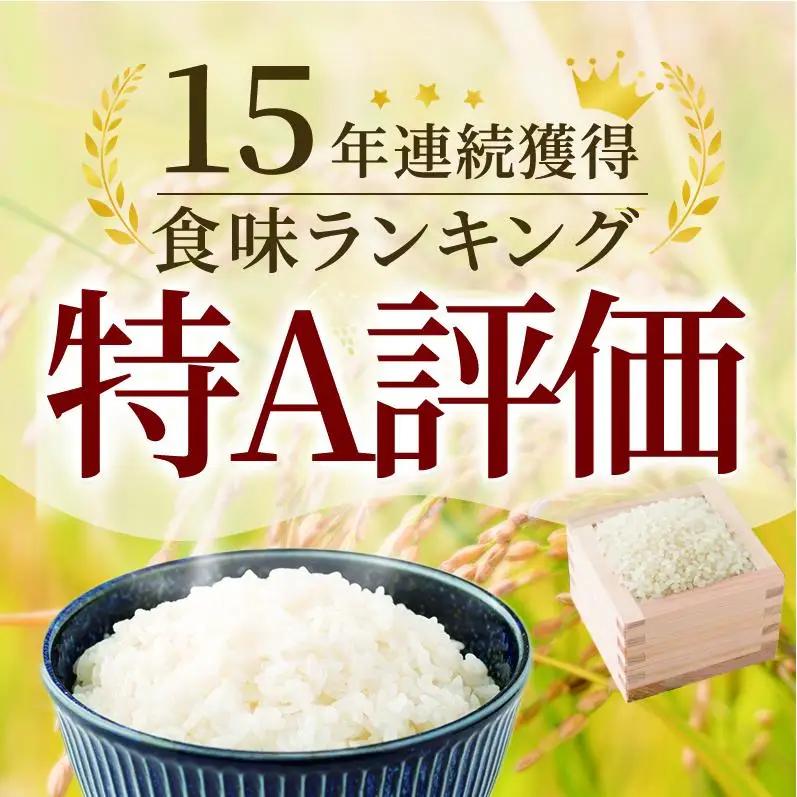 期間限定 令和7年産 無洗米 3kg さがびより 佐賀県産 特A 米 お米 こめ コメ 白米 五つ星 お米マイスター厳選 弁当