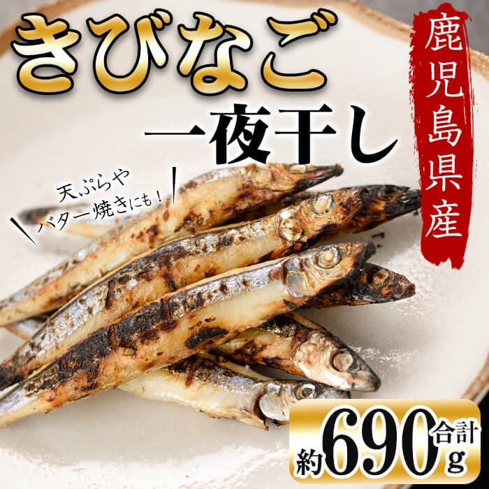 【ふるさと納税】鹿児島県産 黒潮の恵み 天然物 きびなご 一夜干し 約230g×3パック(合計約690g)!晩酌のお供としてお酒のおつまみに!天ぷらやバター焼きがおすすめ!【北崎水産】a3-191