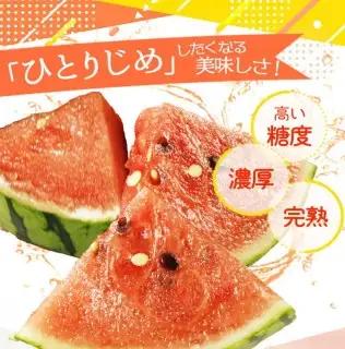 紀州和歌山産 小玉スイカ「ひとりじめ」 1玉 ※2027年5月下旬頃〜6月下旬頃順次発送予定 【uot402-r-1】