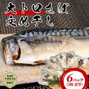 【ふるさと納税】【茨城県共通返礼品／神栖市】 大トロ さば文化干し （1枚 真空 × 6パック ） さば サバ 干物 塩 文化干し 食欲の秋