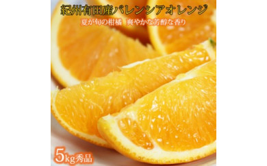 秀品 希少な国産バレンシアオレンジ 5kg