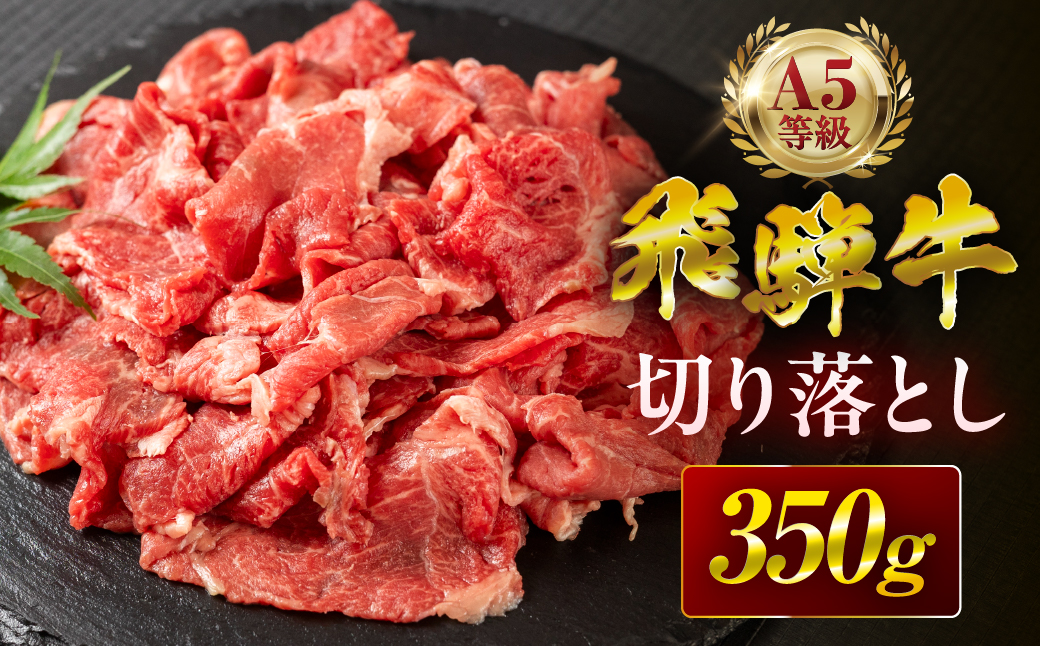 【12回定期便】飛騨牛 A5 350g ちょっと良い 切り落とし 牛肉 和牛 350g × 12回