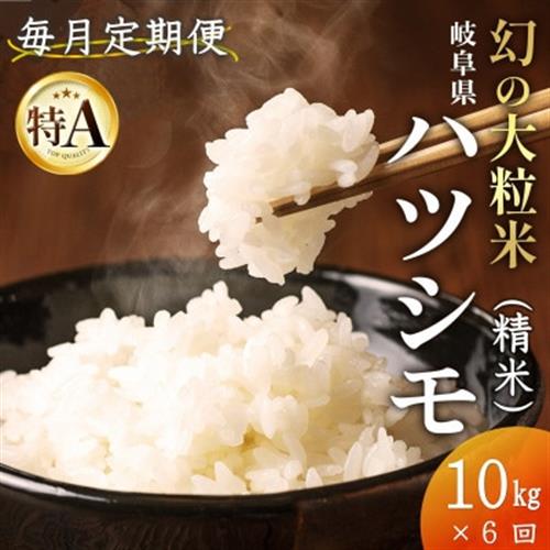 【毎月定期便】岐阜県産ハツシモ(精米) 10kg全6回【配送不可地域：離島】【4076387】