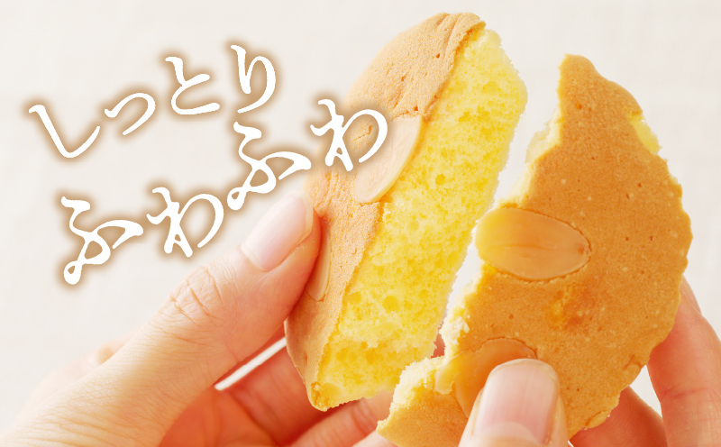 老舗菓子舗のマドレーヌ計10個 焼き菓子 スイーツ 詰め合わせ 洋菓子_T035-002
