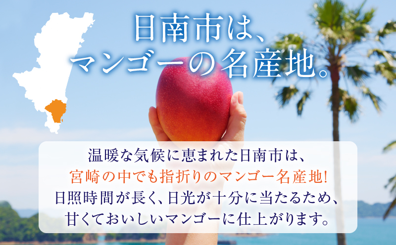 リピーター続出!!数量限定 宮崎県産 完熟 マンゴー 2L以上×4玉 フルーツ 果物 果汁 希少 濃厚 ジューシー 贅沢 上質 ご褒美 人気 国産 食品 おやつ デザート 産地直送 おすすめ ギフト 